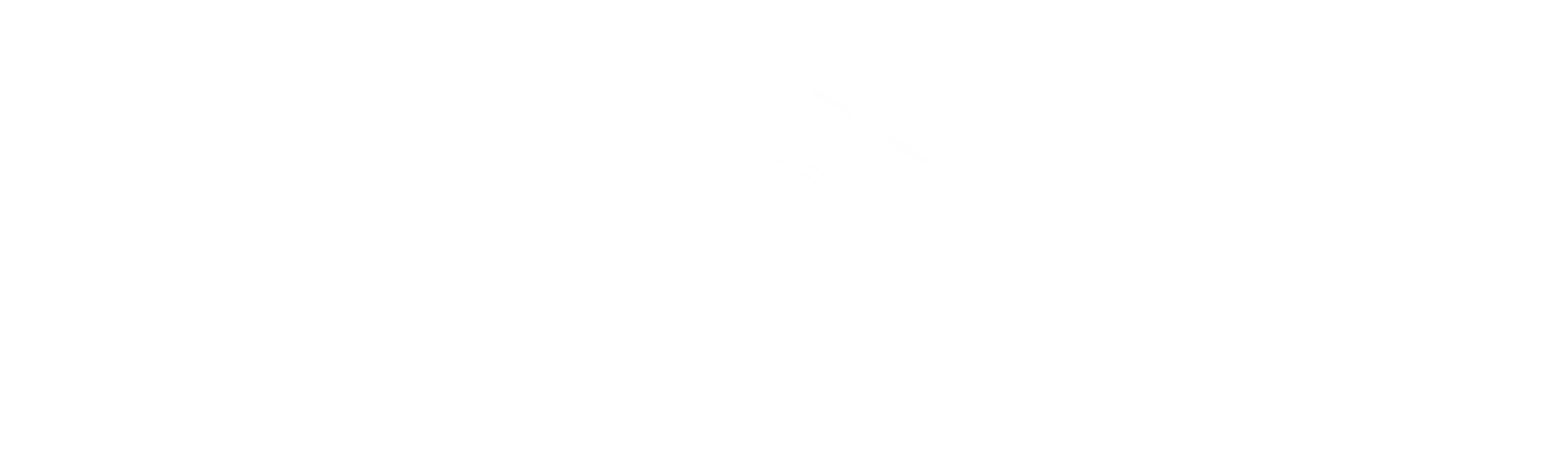 TANNIT LOGO 2025-05