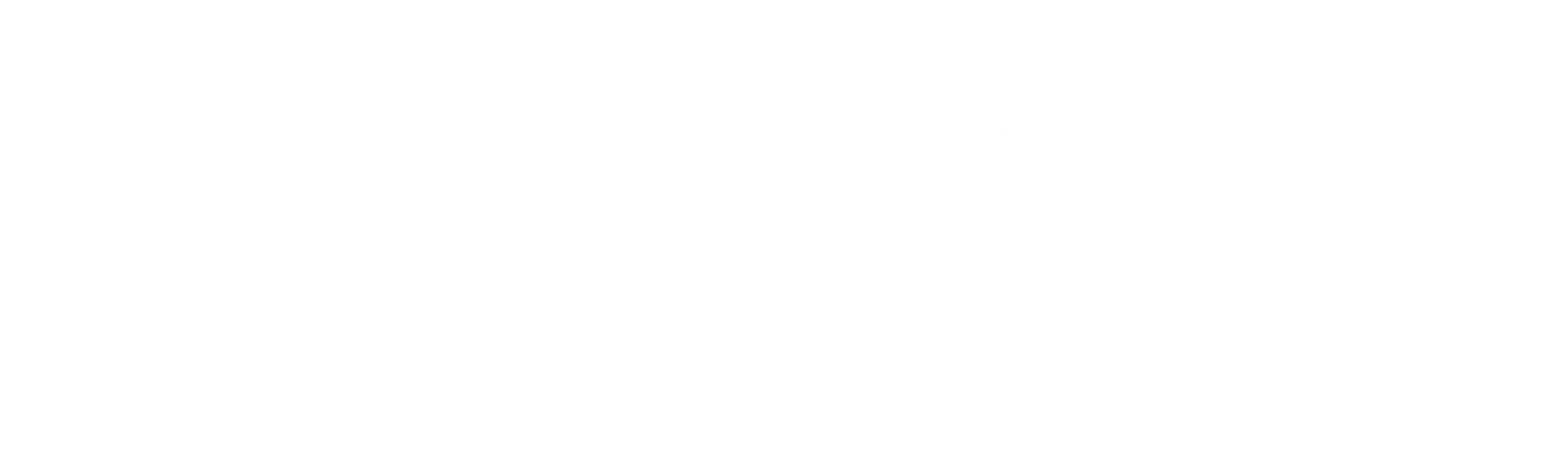 TANNIT LOGO 2025-08