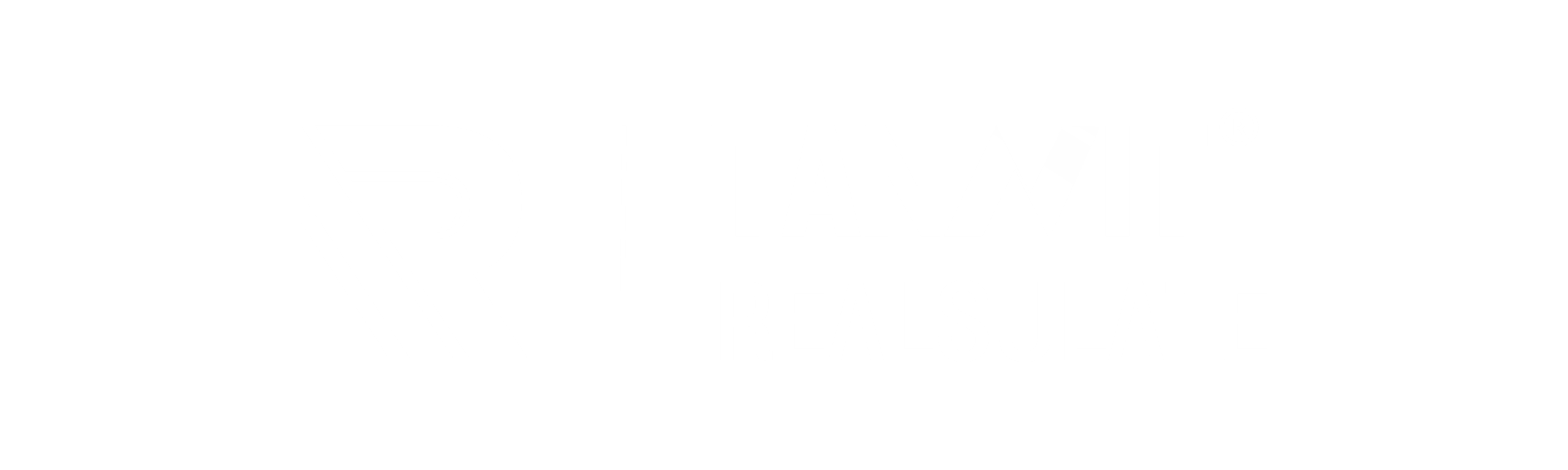 TANNIT LOGO 2025-11